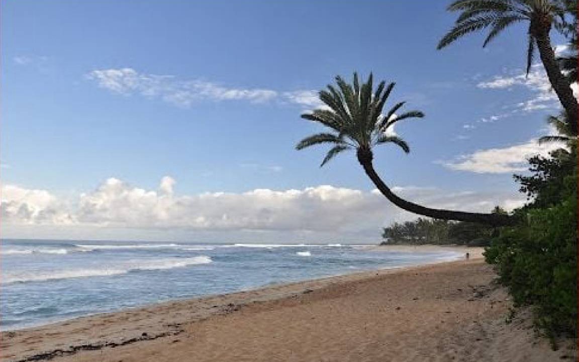 Photo of Others in Pupukea