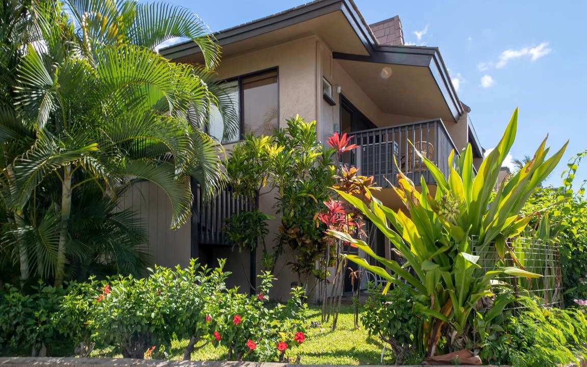 Photo of Others in Kihei