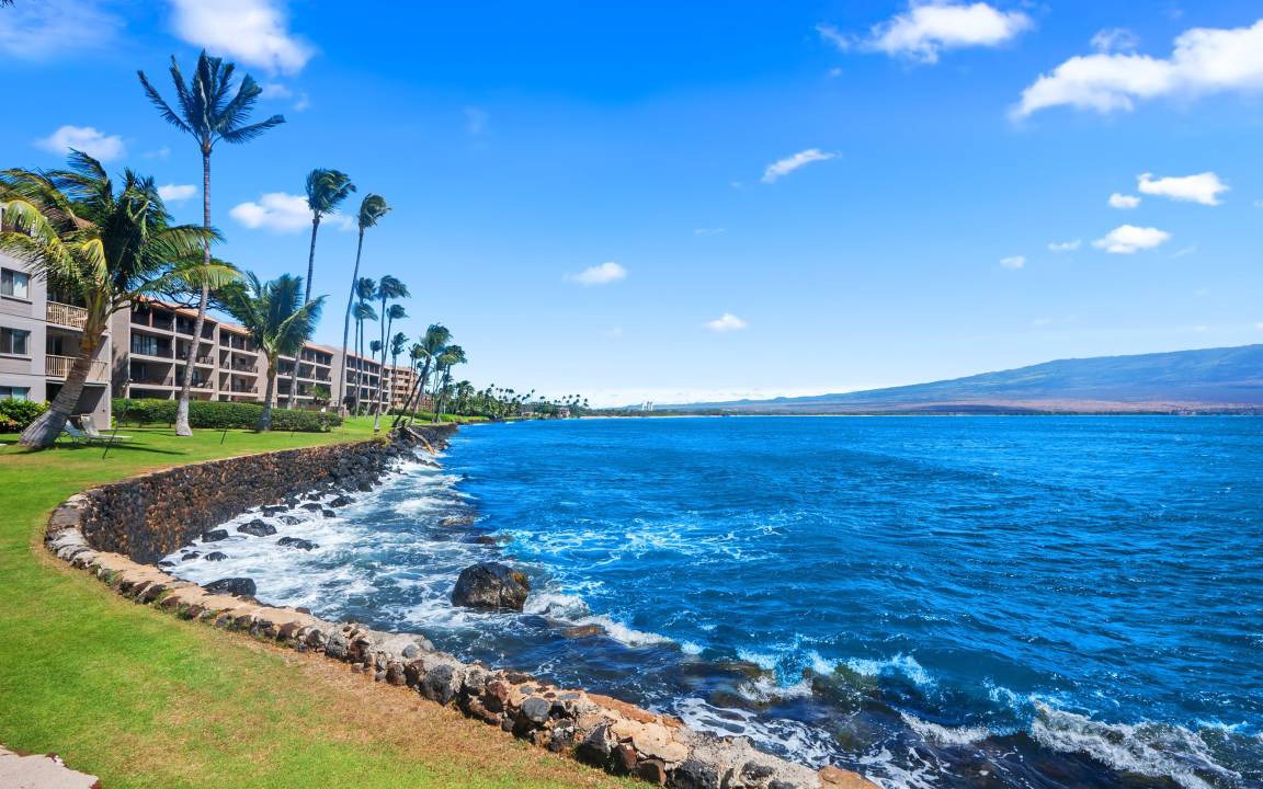 Photo of Others in Maalaea