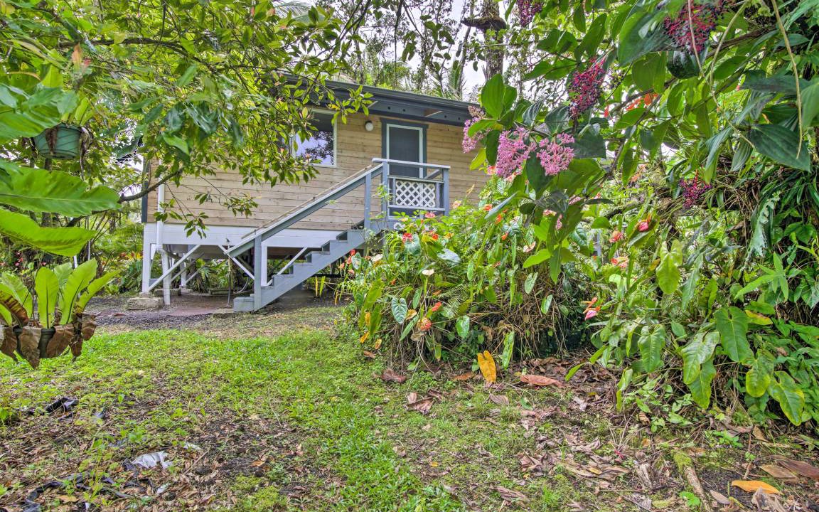 Photo of Buildings in Leilani Estates