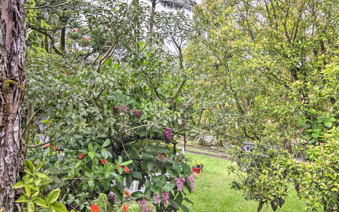 Photo of Outdoor in Leilani Estates