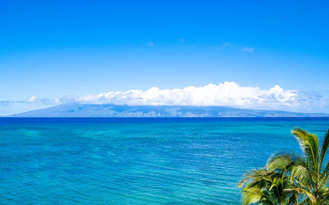 Photo of Others in Kahana