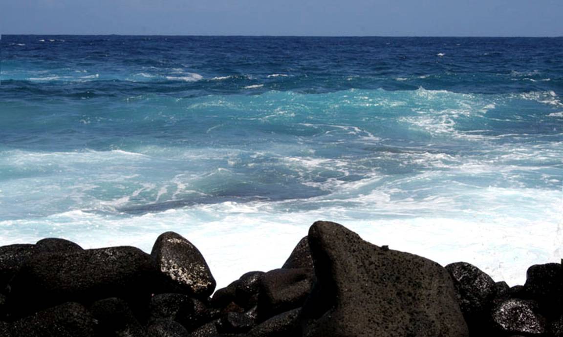 Photo of Others in Kapoho