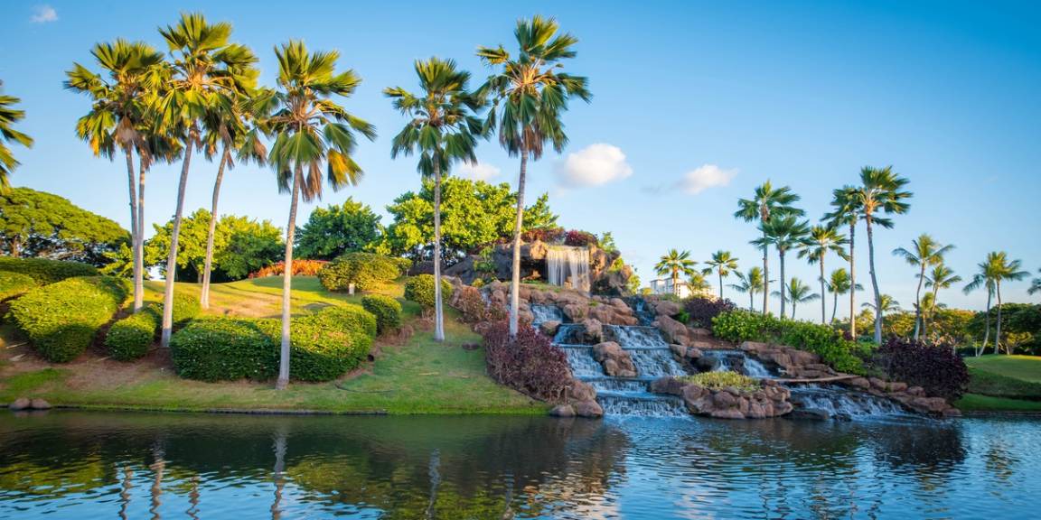 Photo of Others in Kapolei