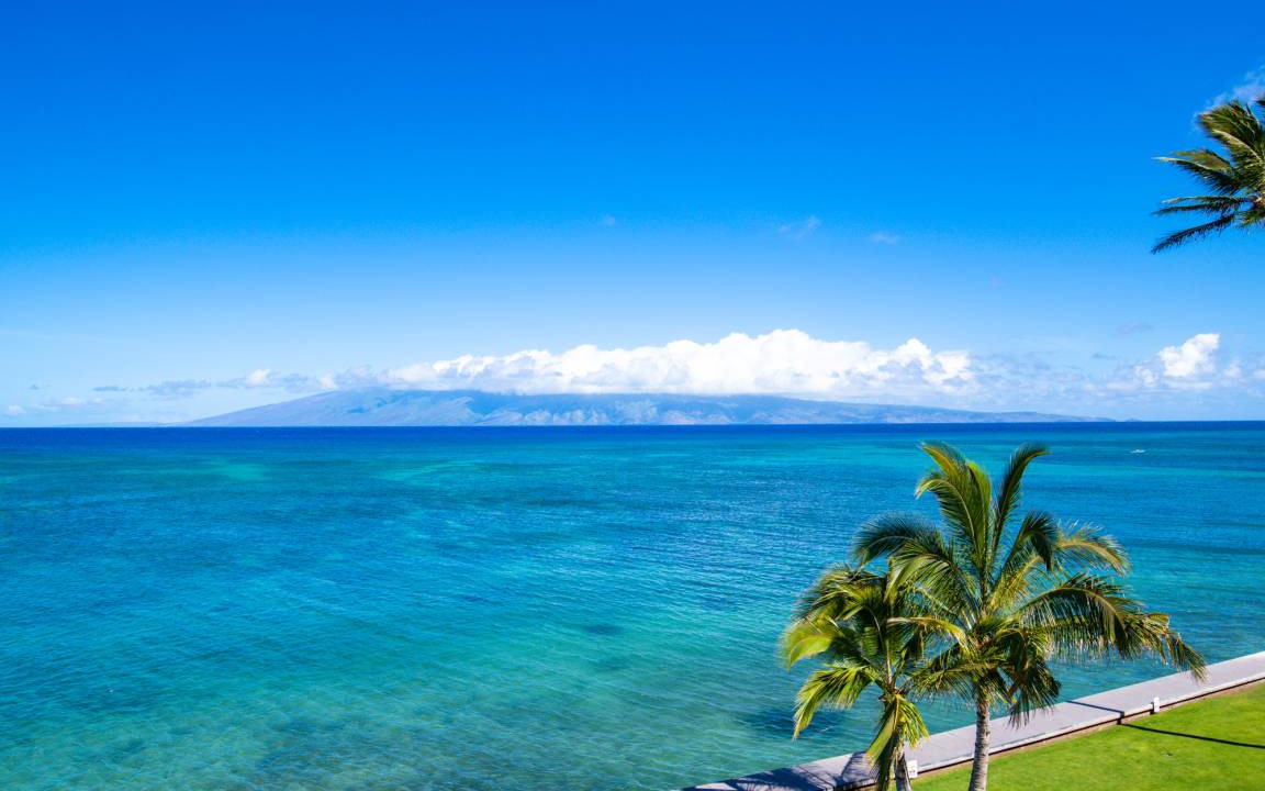 Photo of Others in Kahana