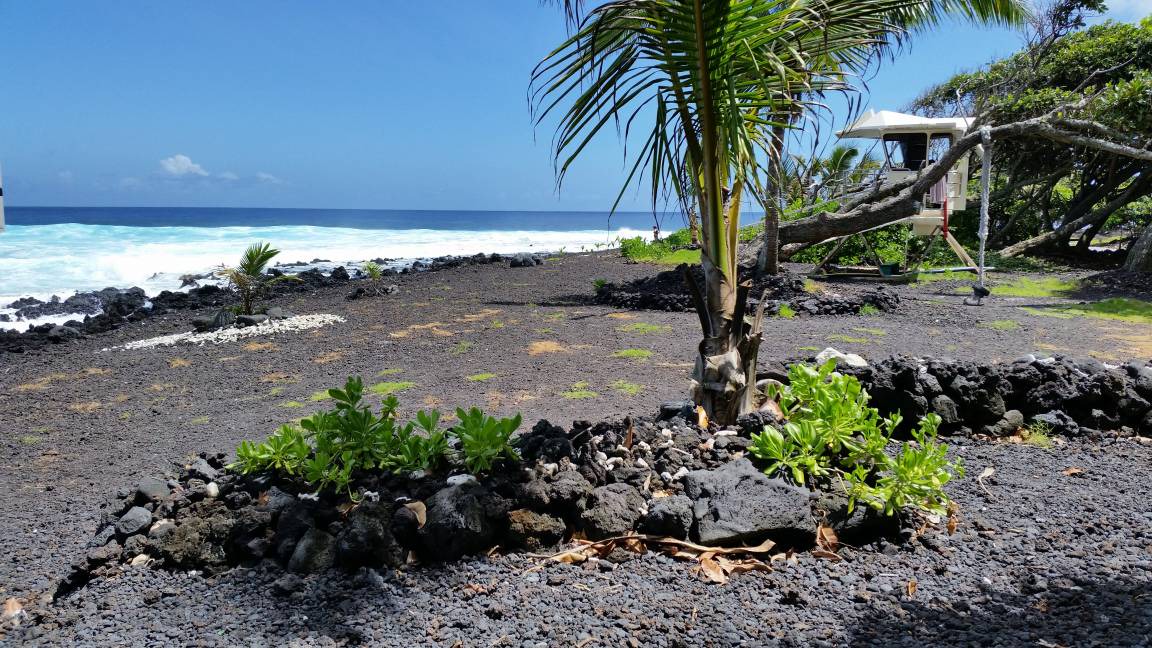 Photo of Others in Keaau