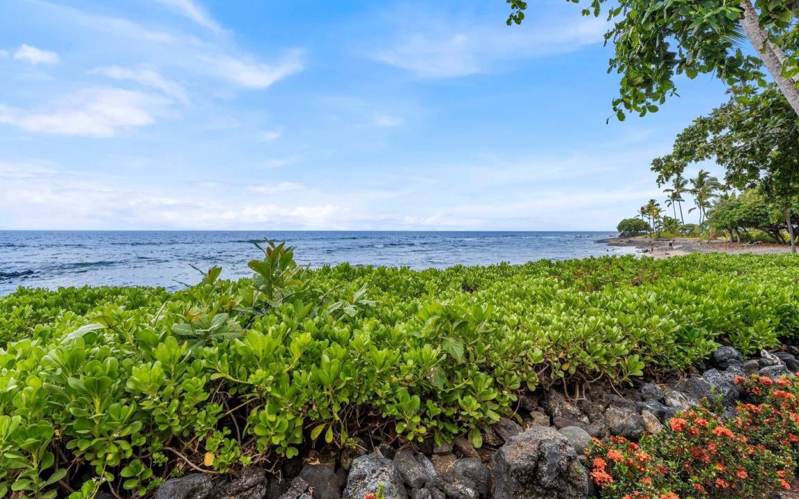 Photo of Others in Kahaluu Bay