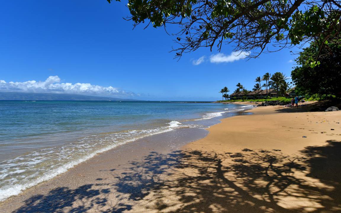 Photo of Others in Kahana