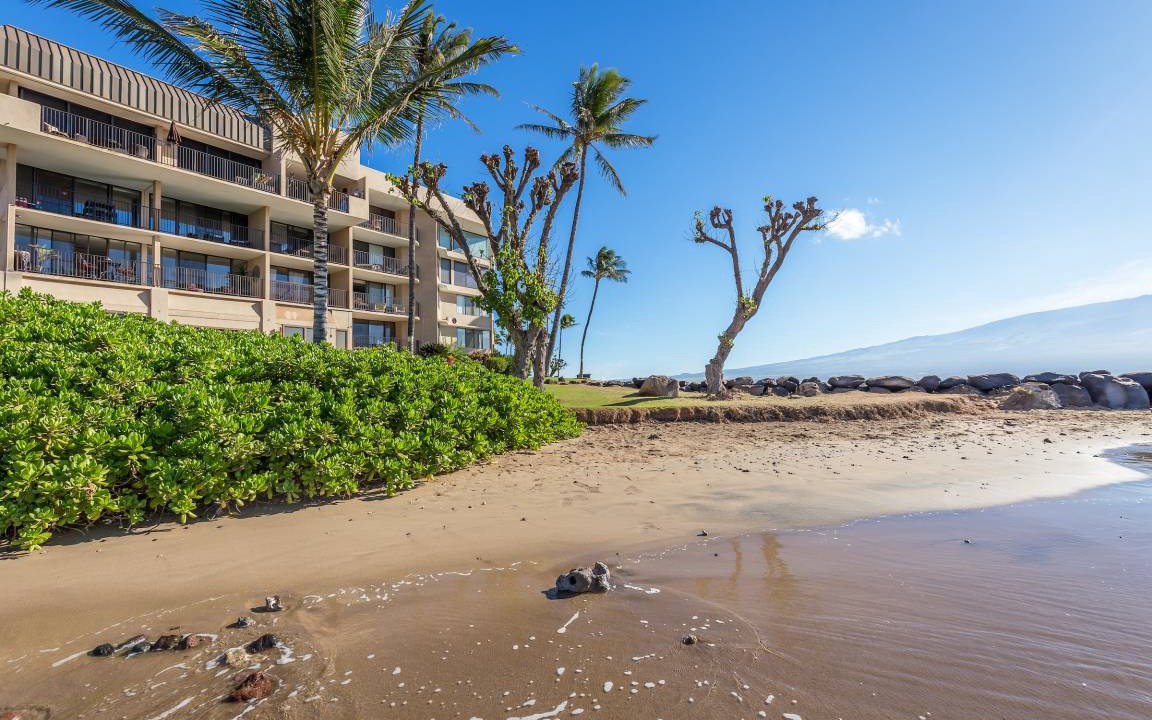 Photo of Others in Maalaea