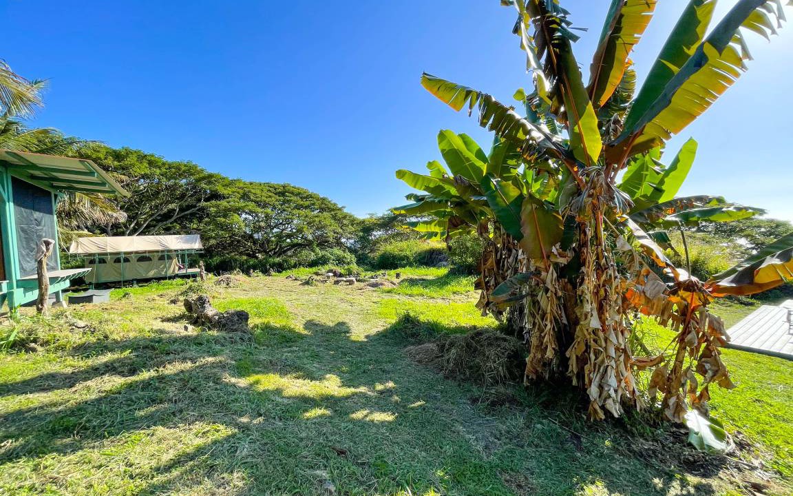 Photo of Others in Kealakekua