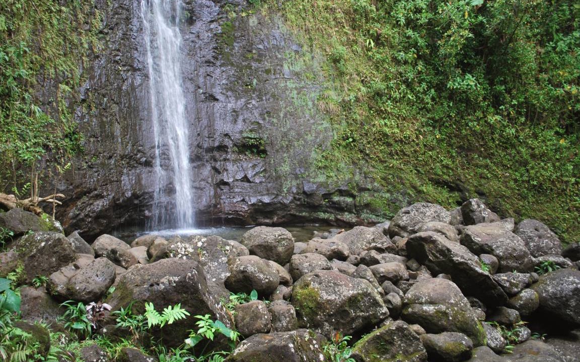 Photo of Others in McCully - Moiliili