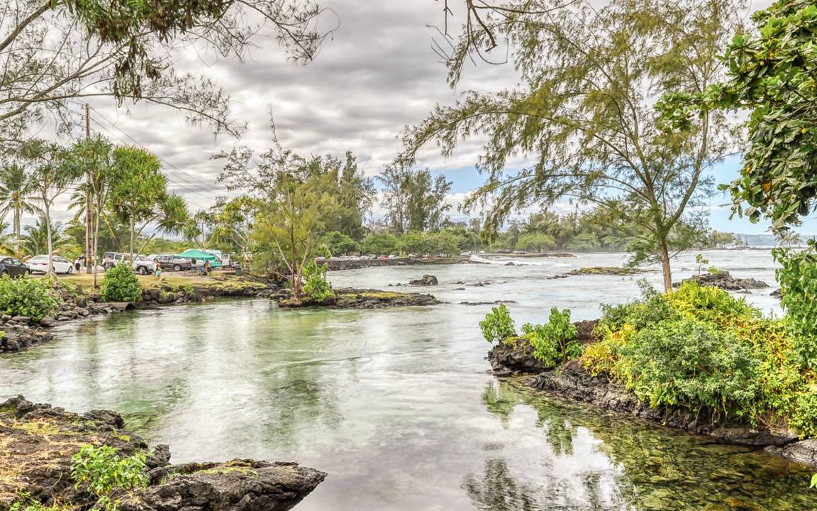 Photo of Others in Hilo