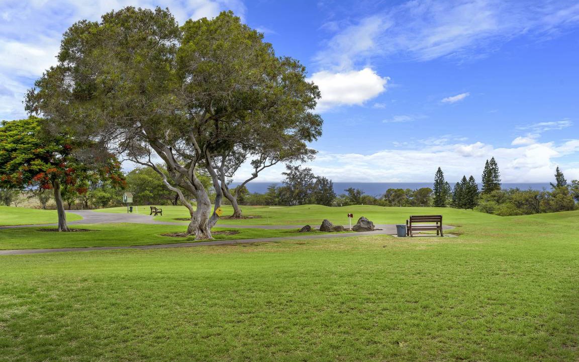 Photo of Others in Waikoloa