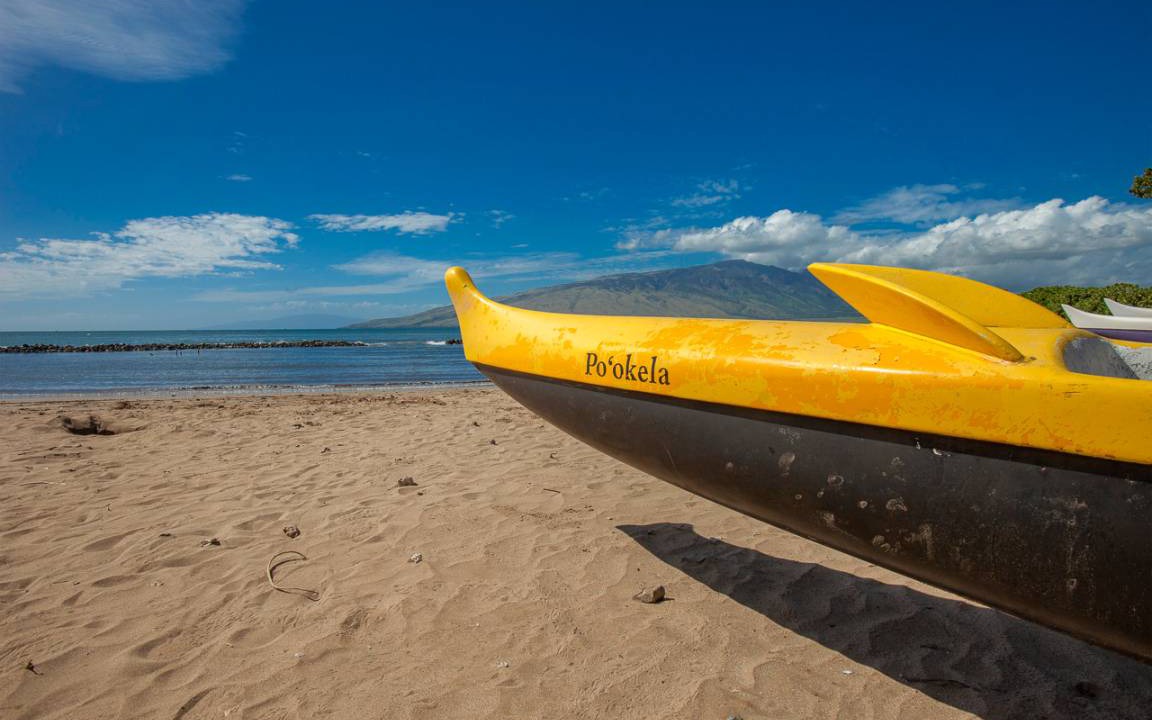 Photo of Others in Kihei