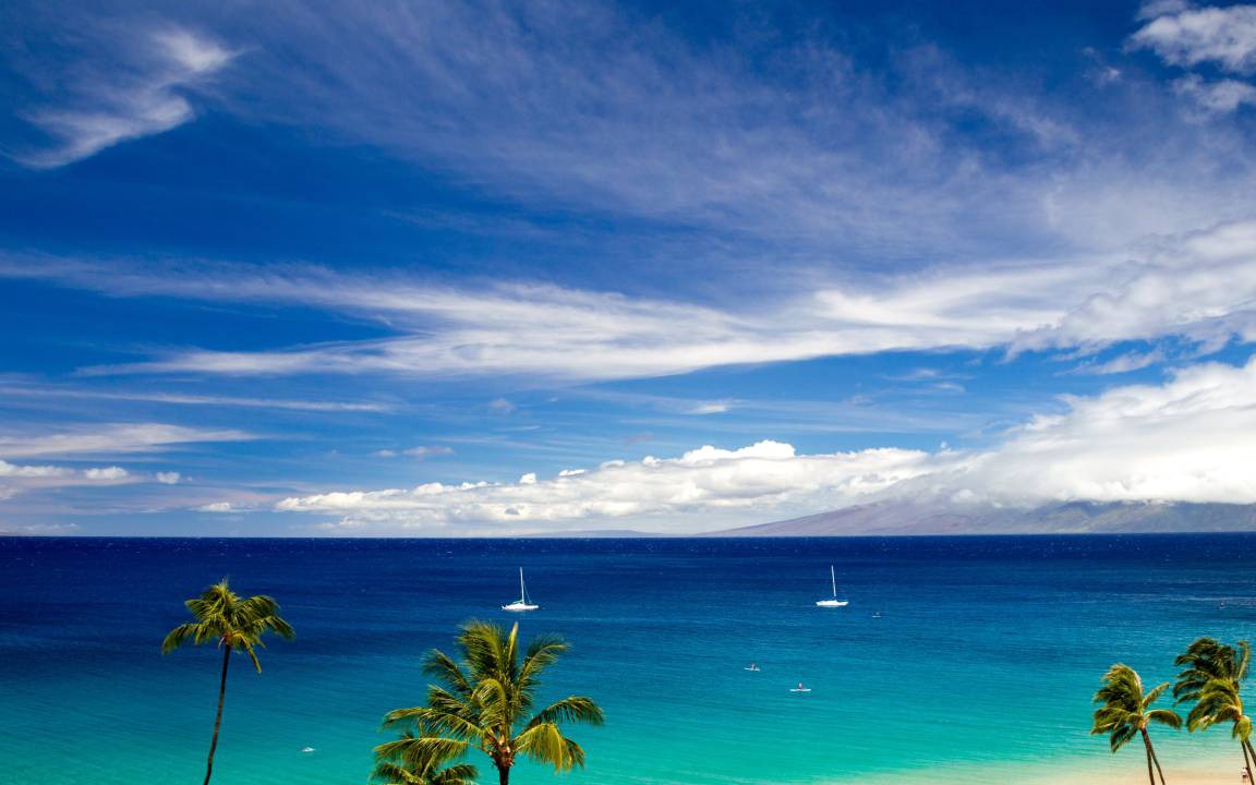 Photo of Others in Kaanapali