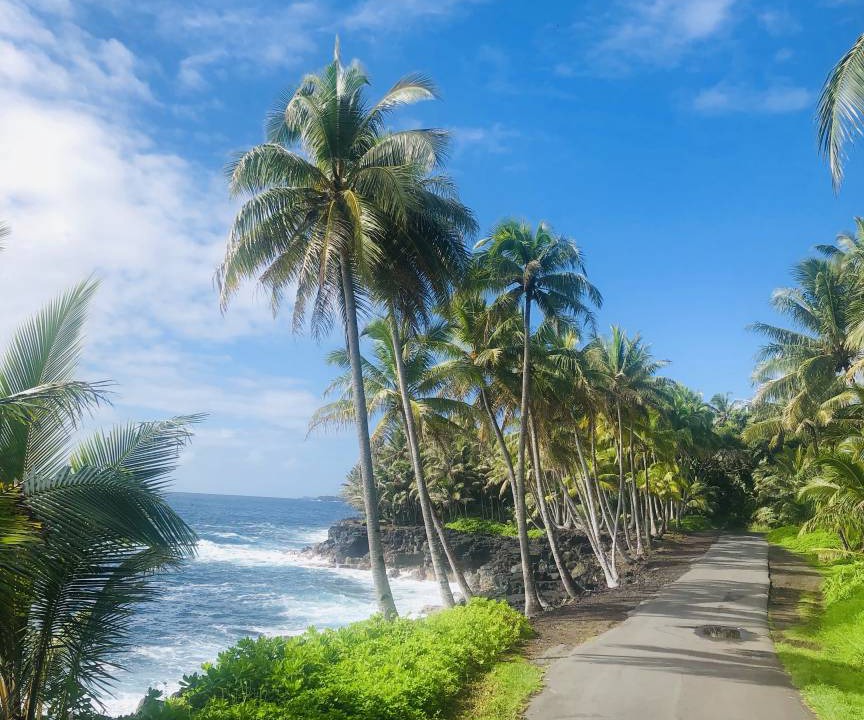 Photo of Others in Kehena Beach Estates