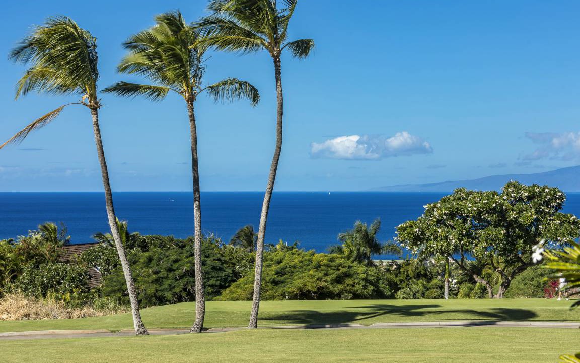 Photo of Others in Wailea