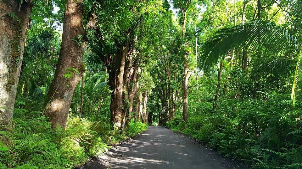 Photo of Others in Keaau