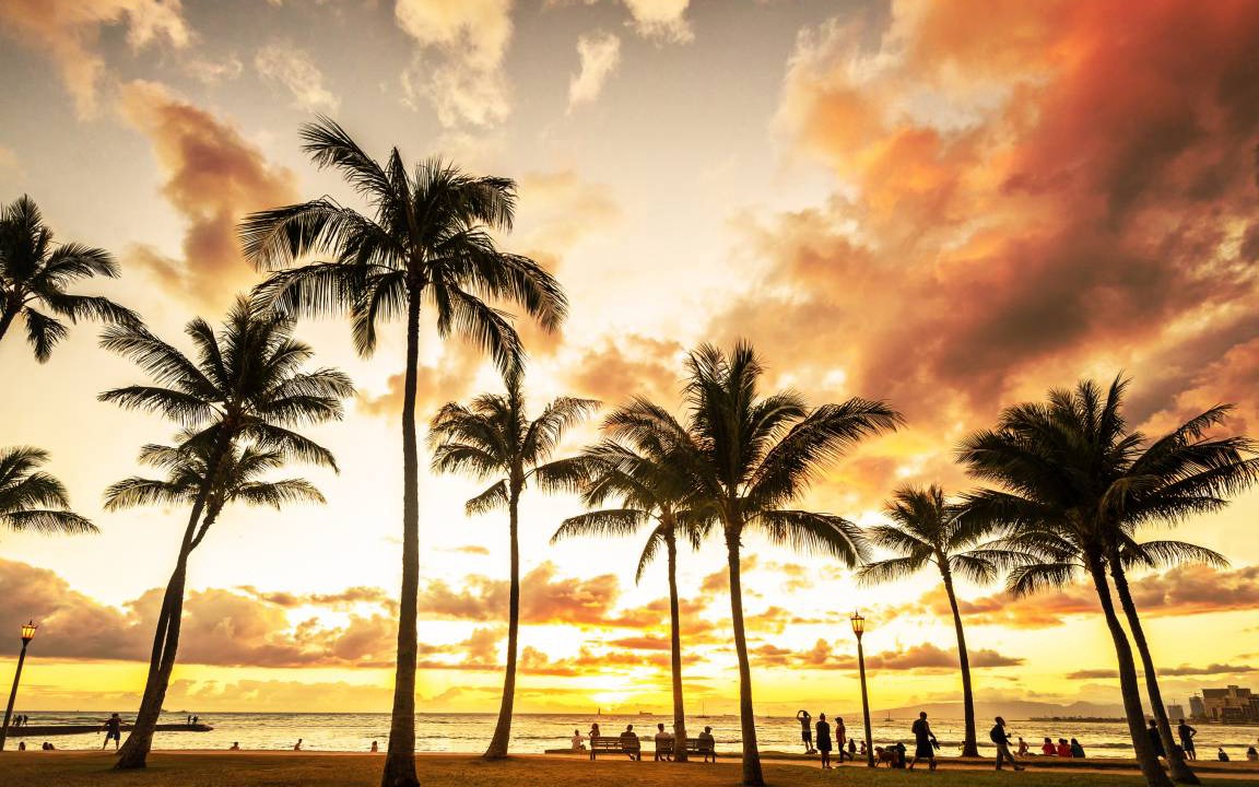 Photo of Others in Waikiki