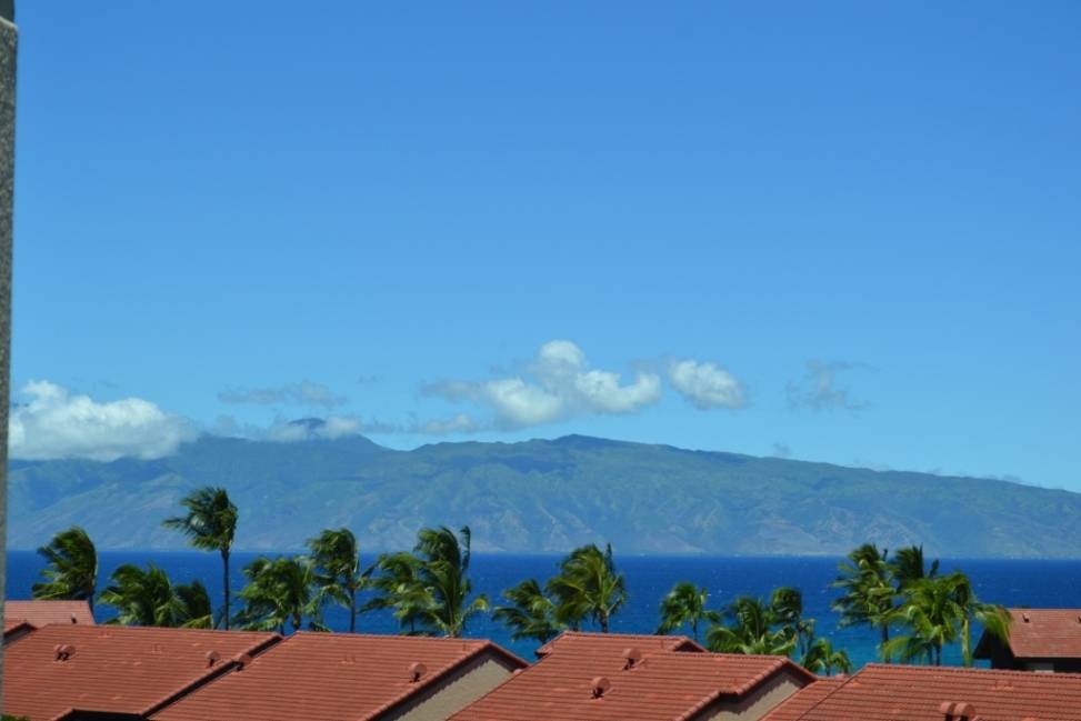 Photo of Others in Lahaina