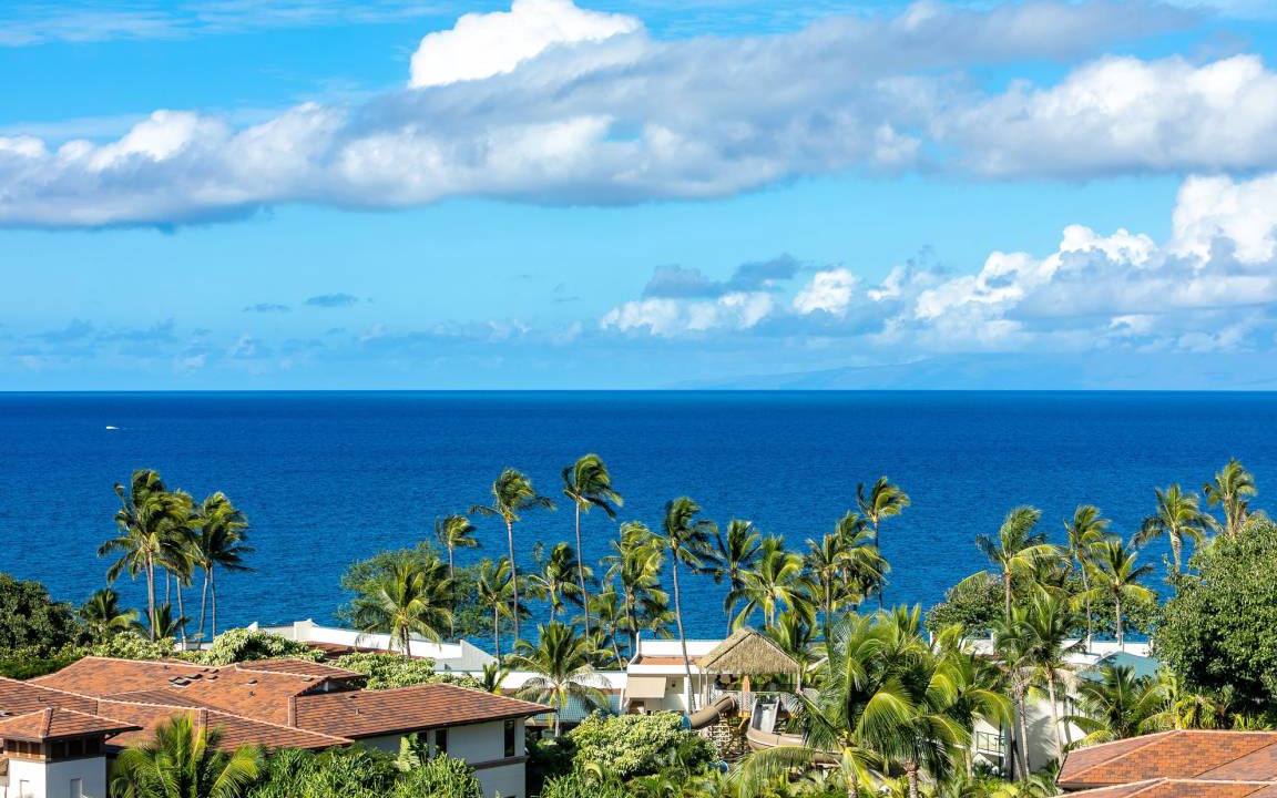 Photo of Others in Wailea