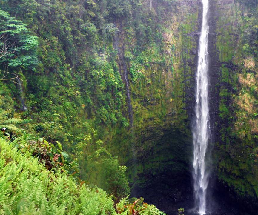 Photo of Others in Keaau