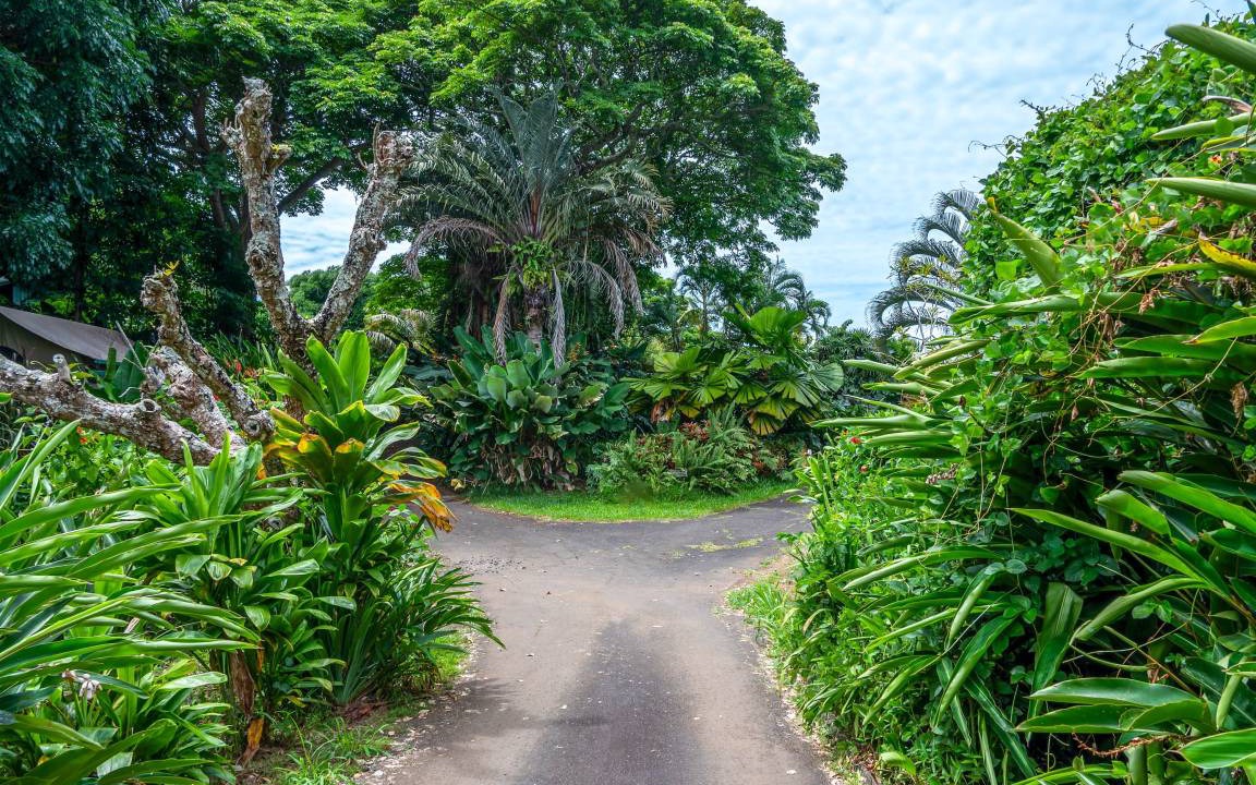 Photo of Others in Kealakekua