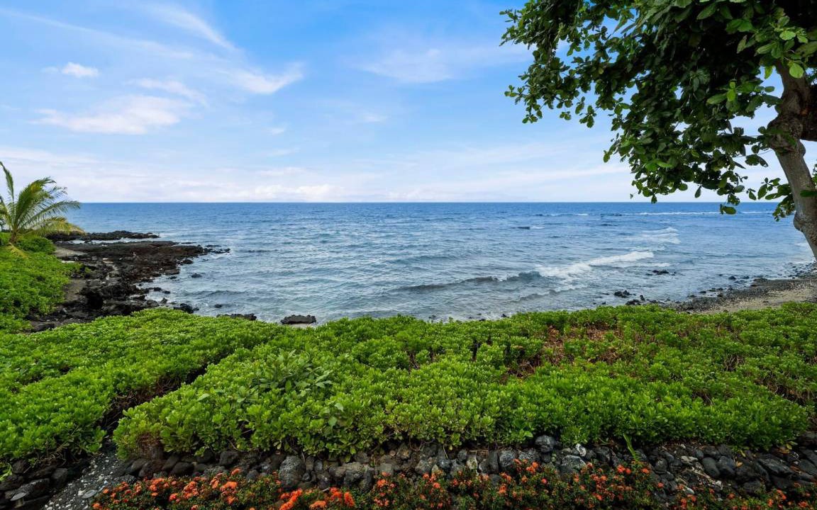Photo of Others in Kahaluu Bay
