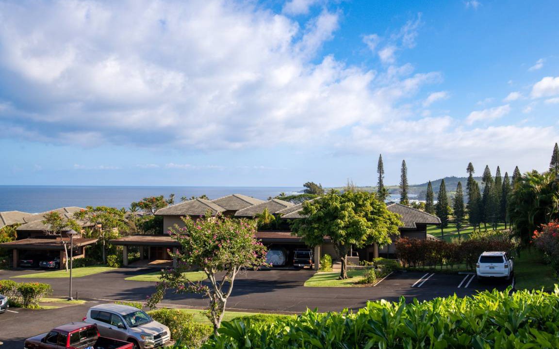 Photo of Others in Kapalua