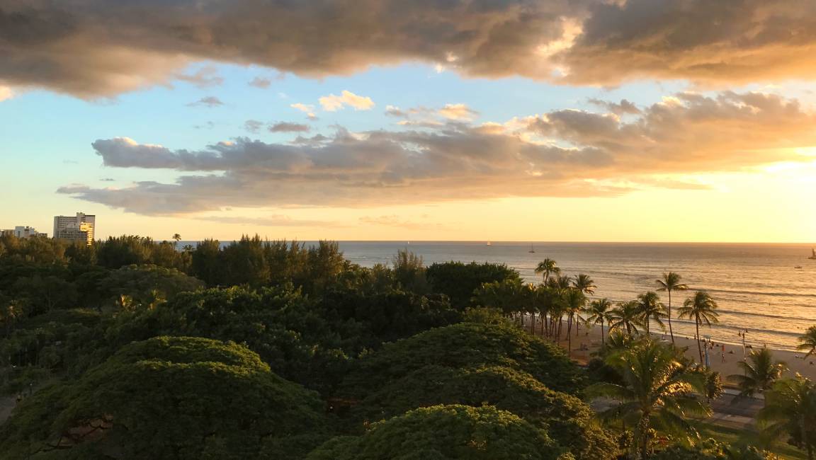 Photo of Others in Waikiki
