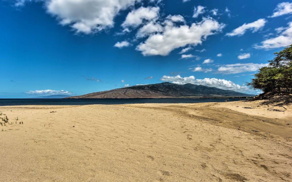 Photo of Others in Kihei