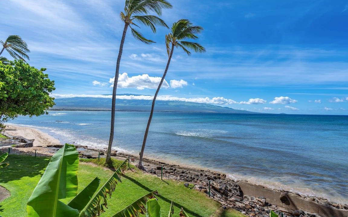 Photo of Others in Maalaea