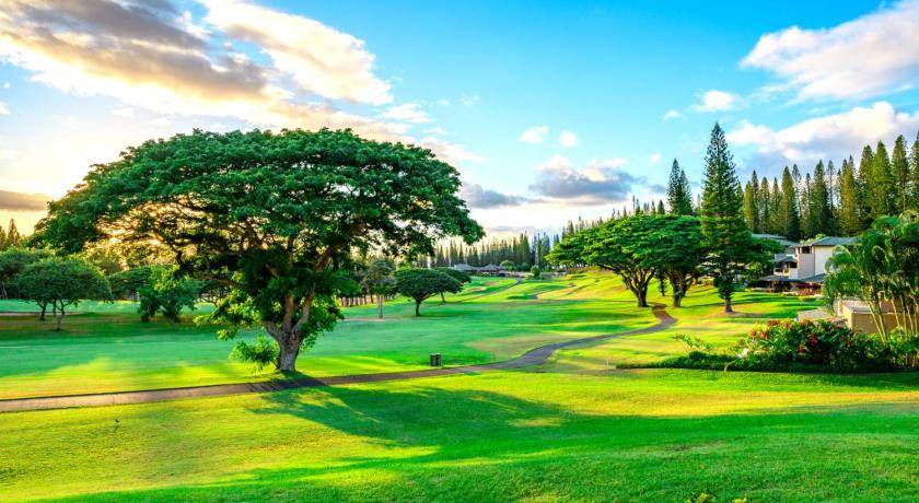 Photo of Others in Kapalua