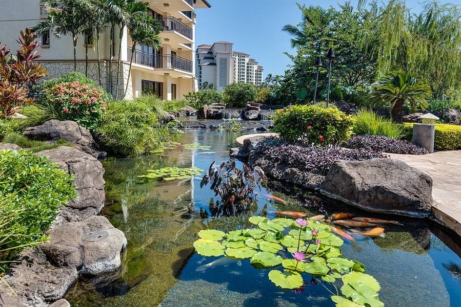 Photo of Others in Ko Olina