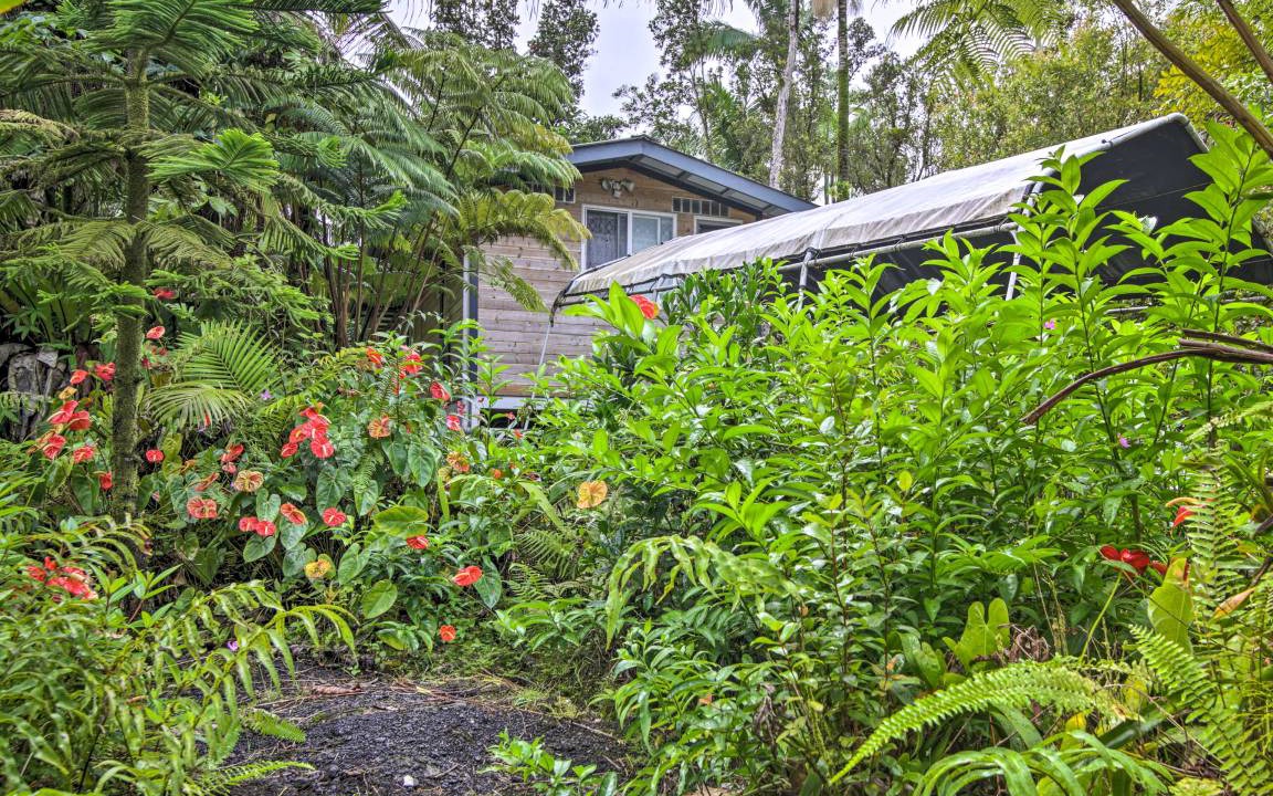 Photo of Others in Leilani Estates