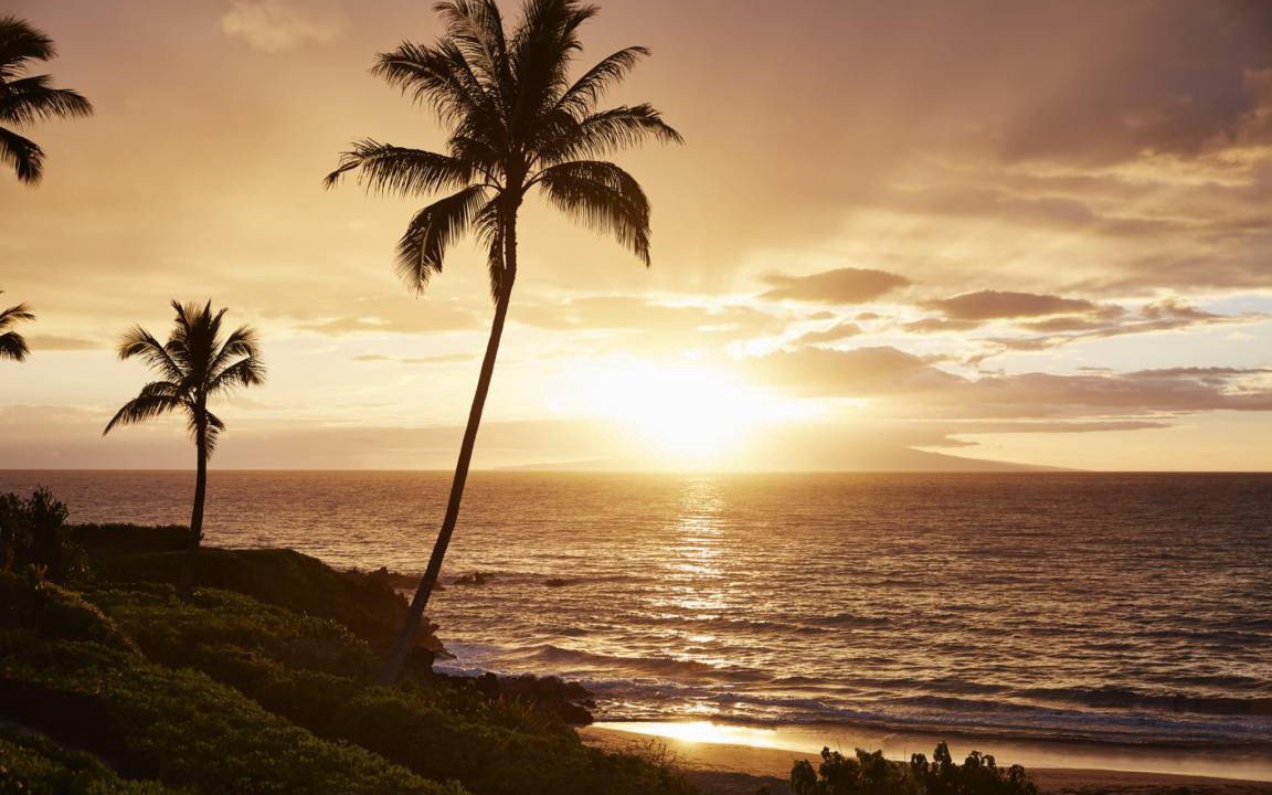 Photo of Others in Wailea