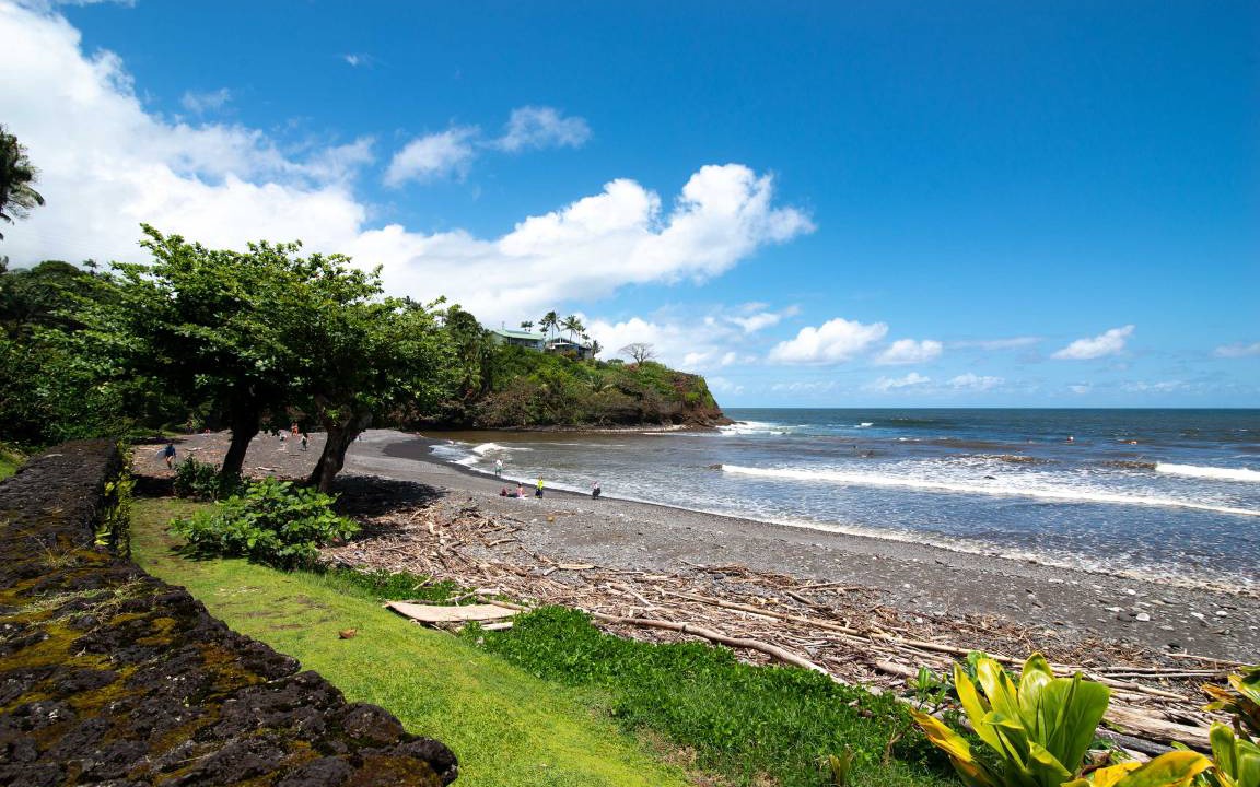 Photo of Others in Hilo