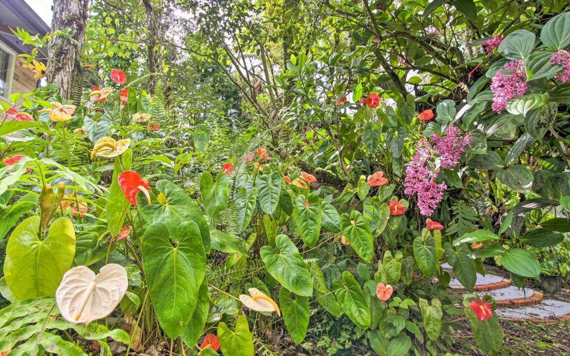 Photo of Others in Leilani Estates