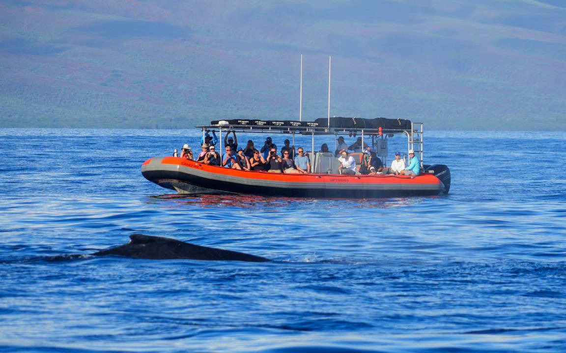 Photo of Others in Kaanapali