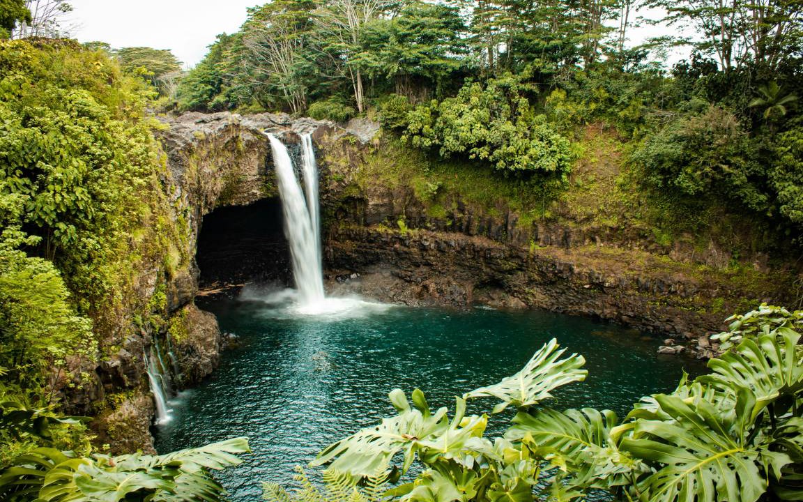 Photo of Others in Hilo