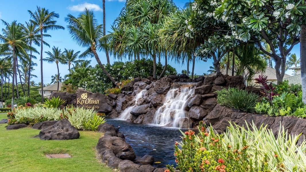 Photo of Others in Kapolei