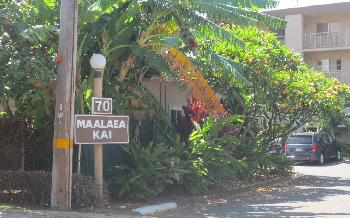 Photo of Others in Maalaea
