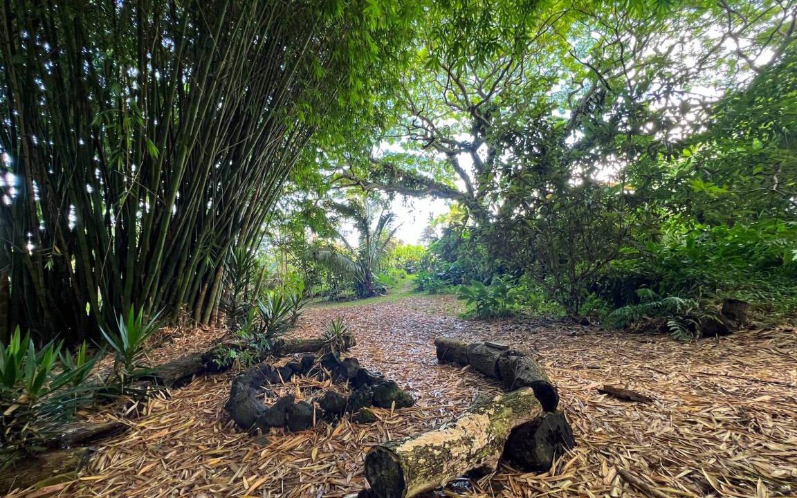 Photo of Others in Kealakekua