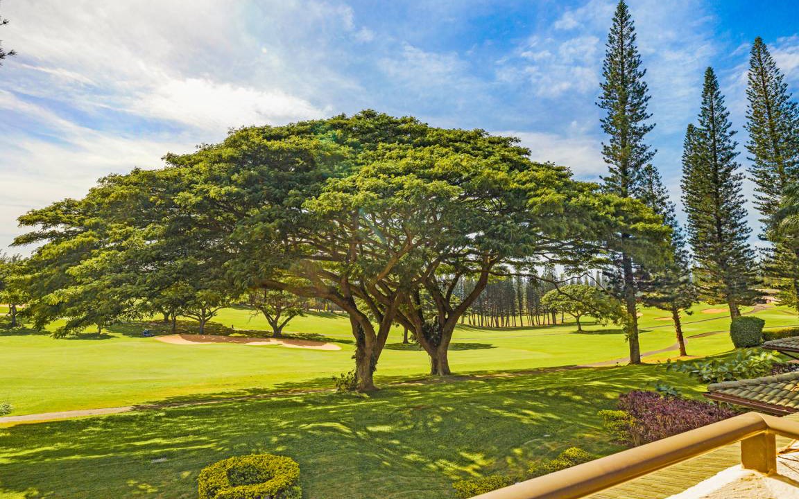 Photo of Others in Kapalua