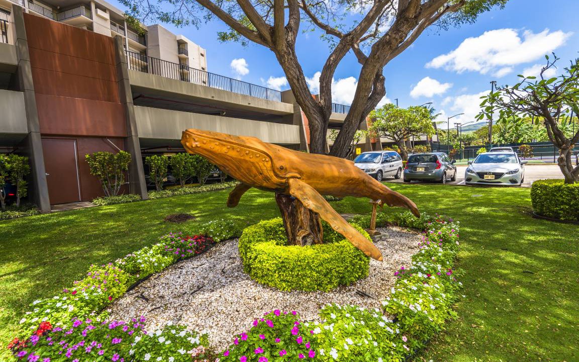 Photo of Others in Lahaina