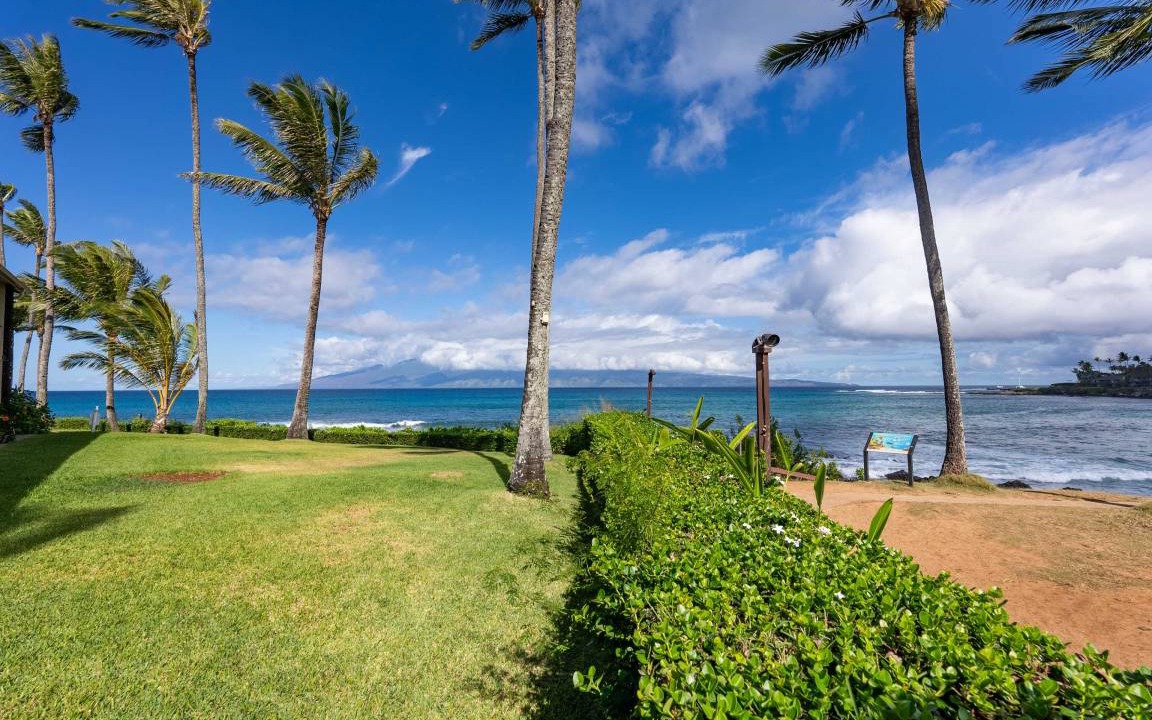 Photo of Others in Napili