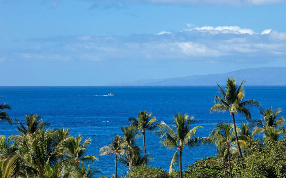 Photo of Others in Wailea