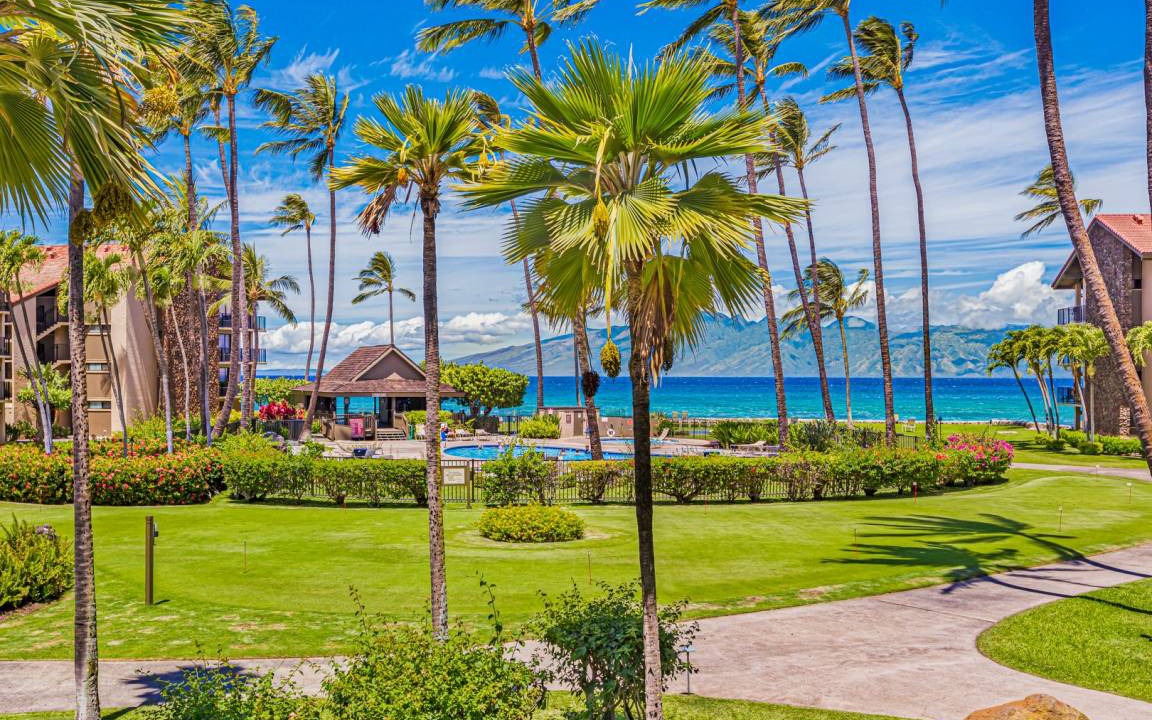 Photo of Others in Historic Lahaina Front Street