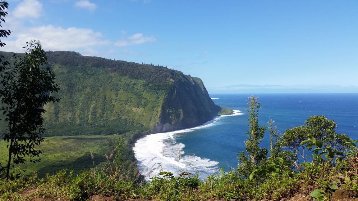 Photo of Others in Hilo