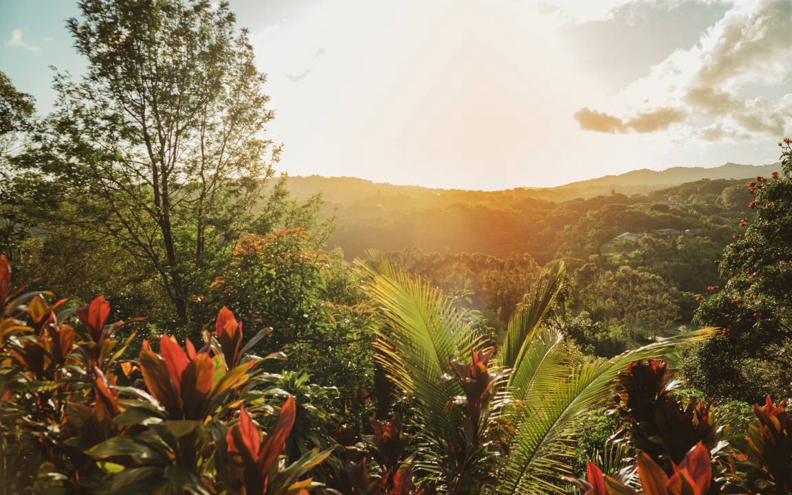 Photo of Others in Lawai